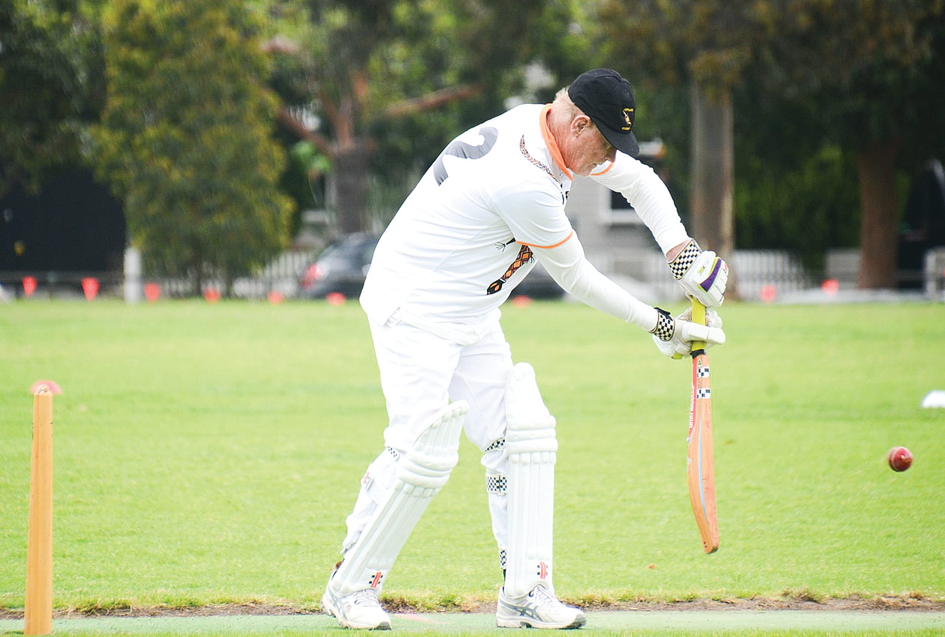 The Goannas’ Dick Noble defends. 