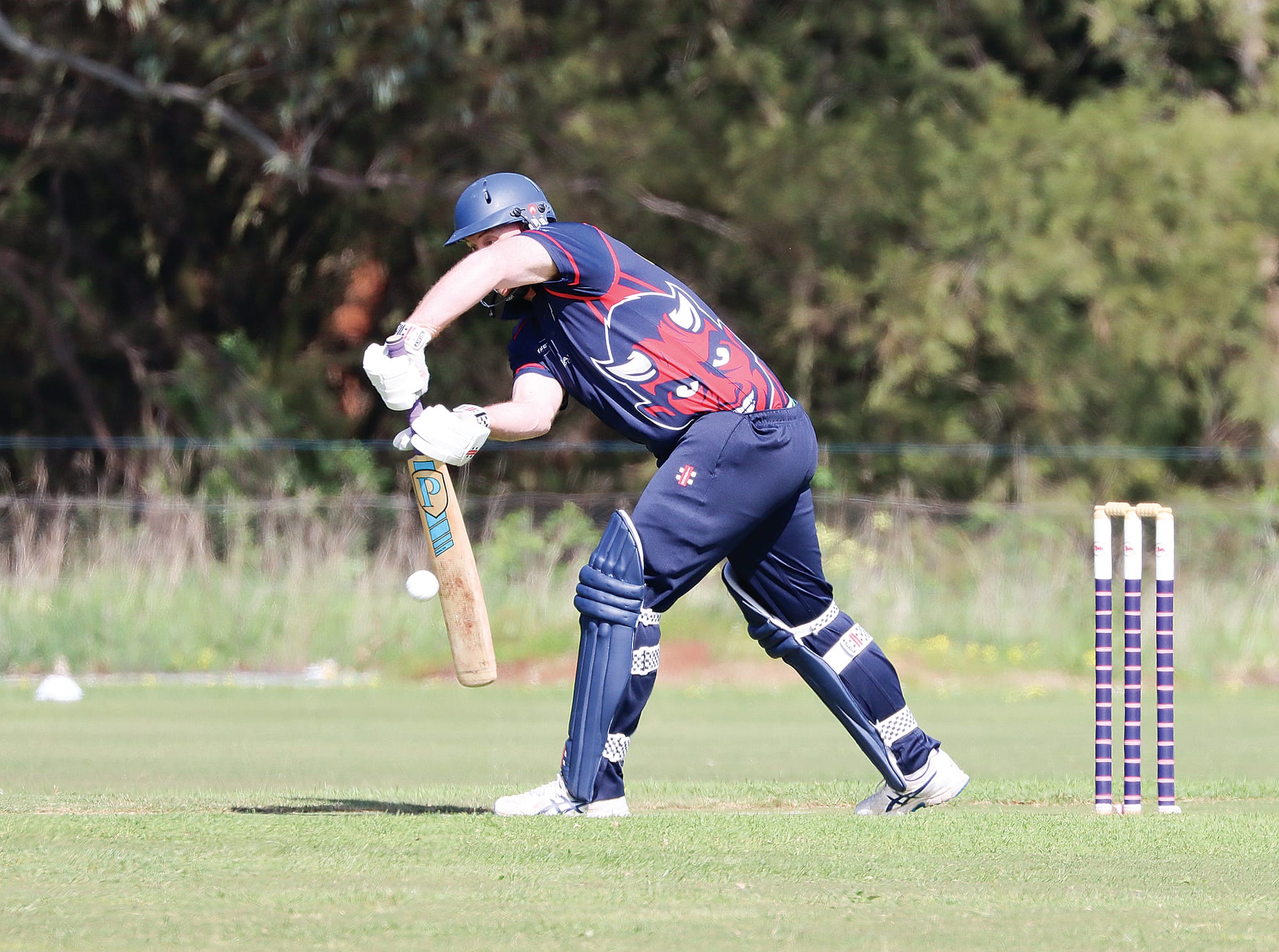 Paul Le Page gets on the front foot for MDU, being the Demons’ top scorer in the A2 loss to Koonwarra Leongatha RSL, making 71 runs. A45_4225