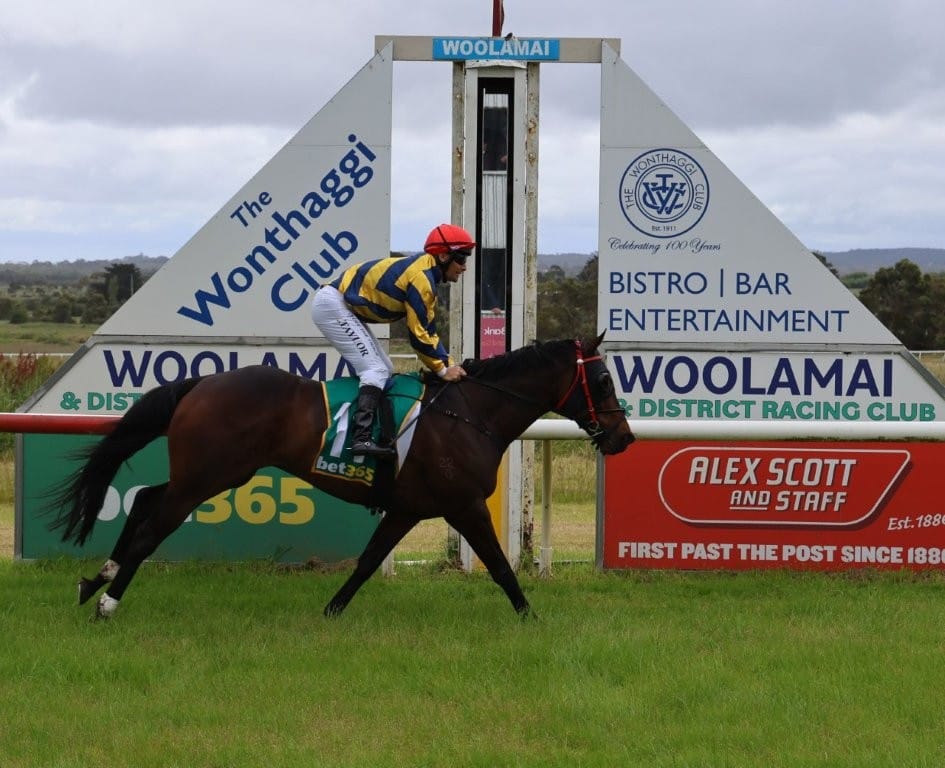 It was Rule of Salex, ridden by Leigh Taylor first, and daylight second as they pass the winning post at Woolamai on Saturday a full 12 lengths clear, easing up.