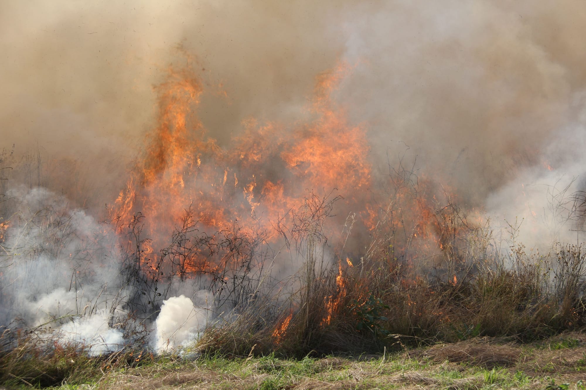 Ensure burn-offs are out ahead of windy weather