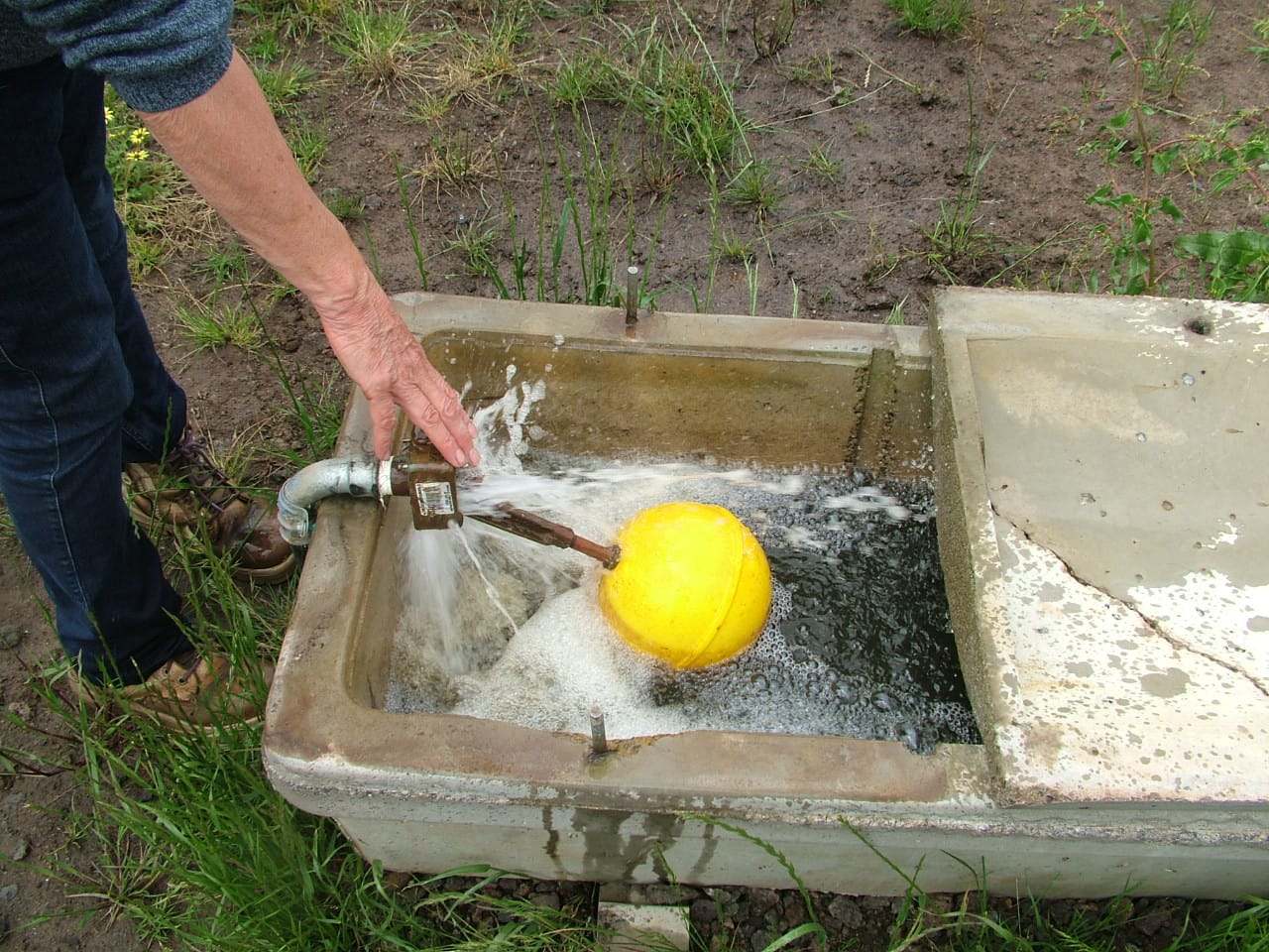 Join a series of free water planning webinars with Agriculture Victoria
