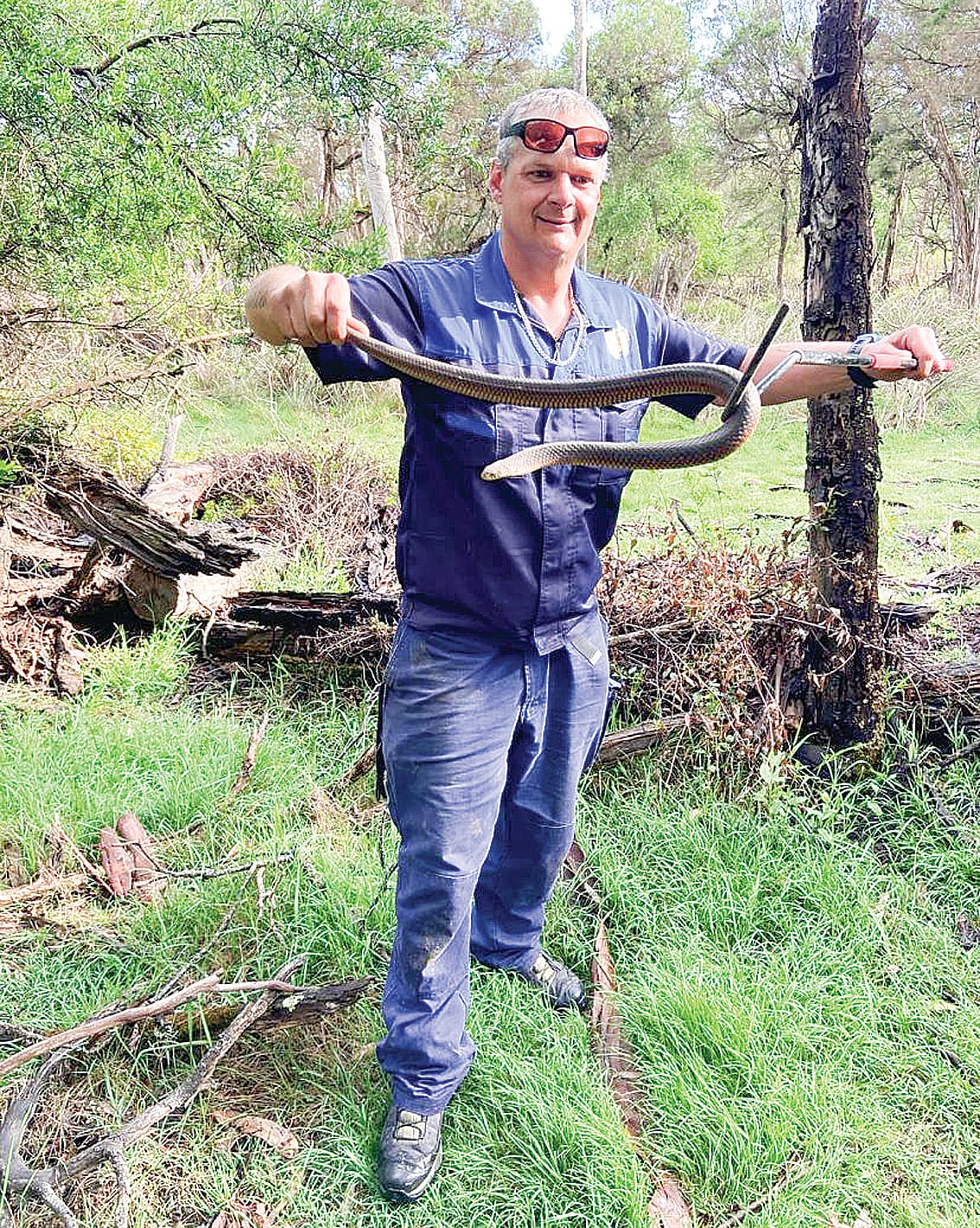 Snakes alive as snake catcher Kev comes to the rescue