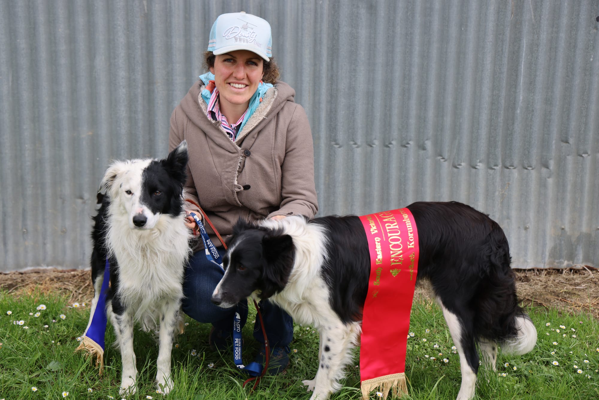 Record turnout marks Korumburra’s 70th annual Sheep Dog Trials