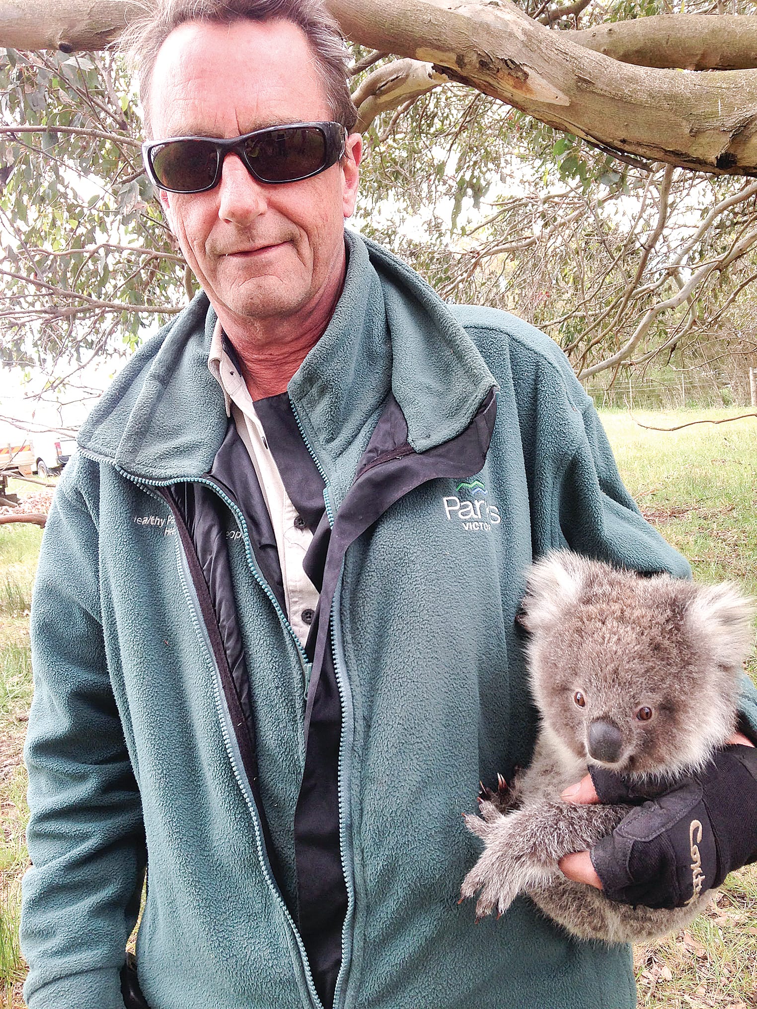 Former French Island Ranger Scott Coutts is distressed by the current plight of the local koala population.