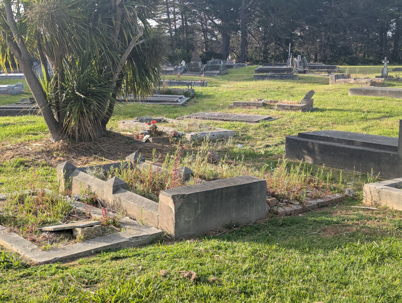 Families slam state of Wonthaggi Cemetery