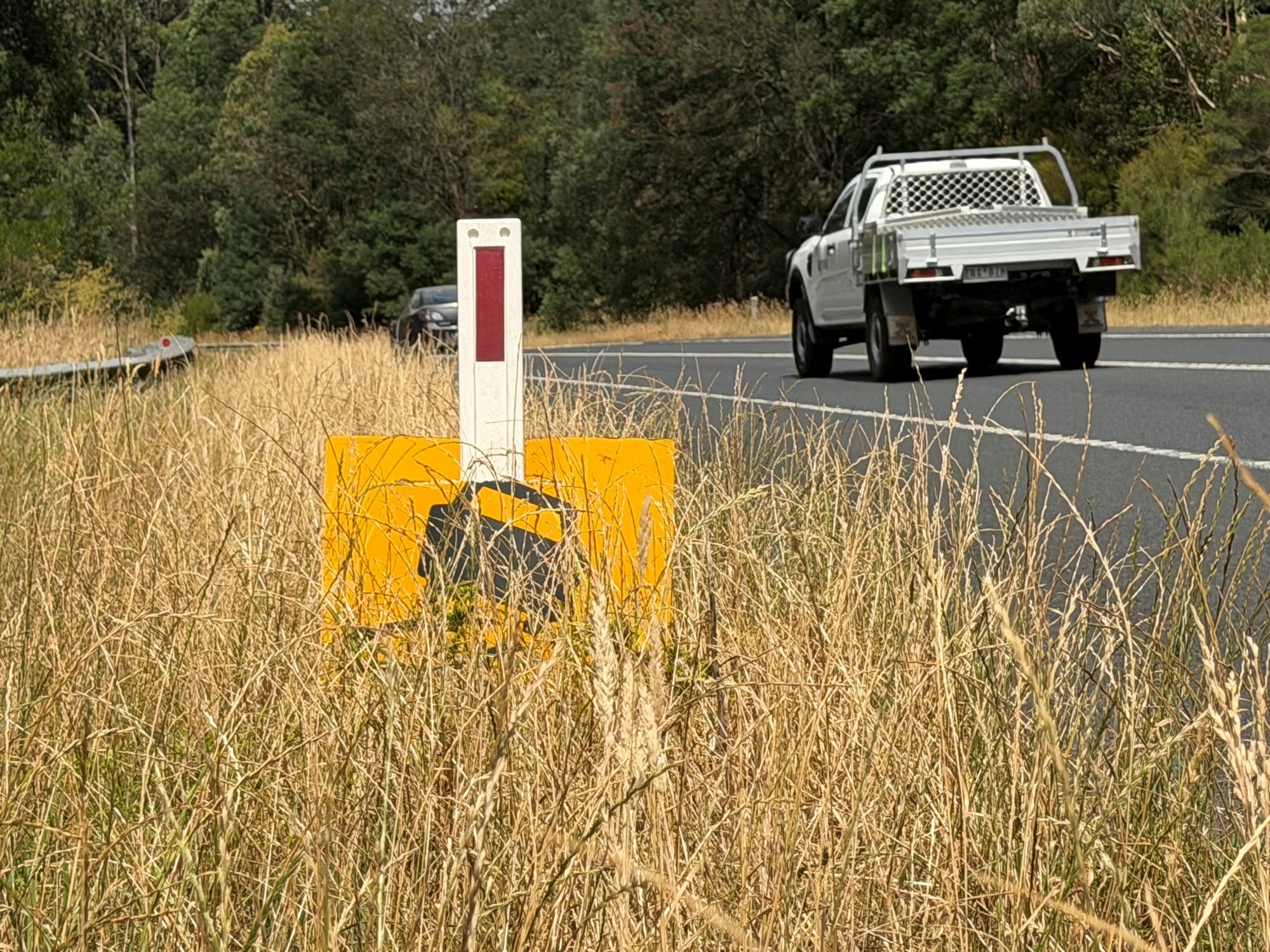 Unslashed highways spark fire fears