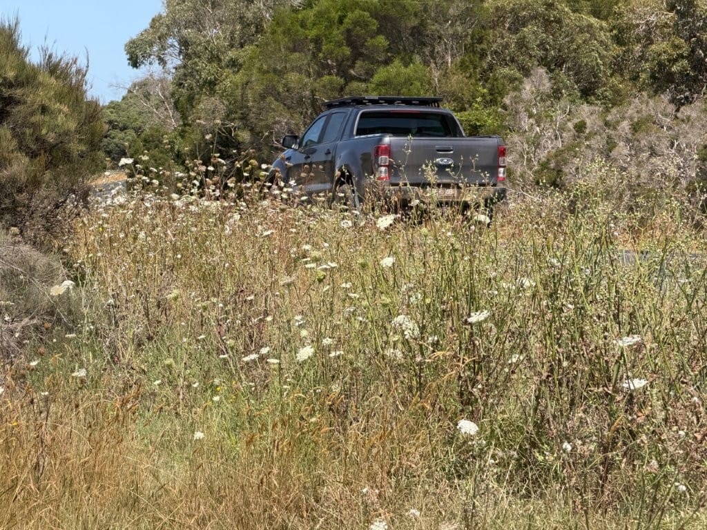 Community urged to report killer roadside vegetation