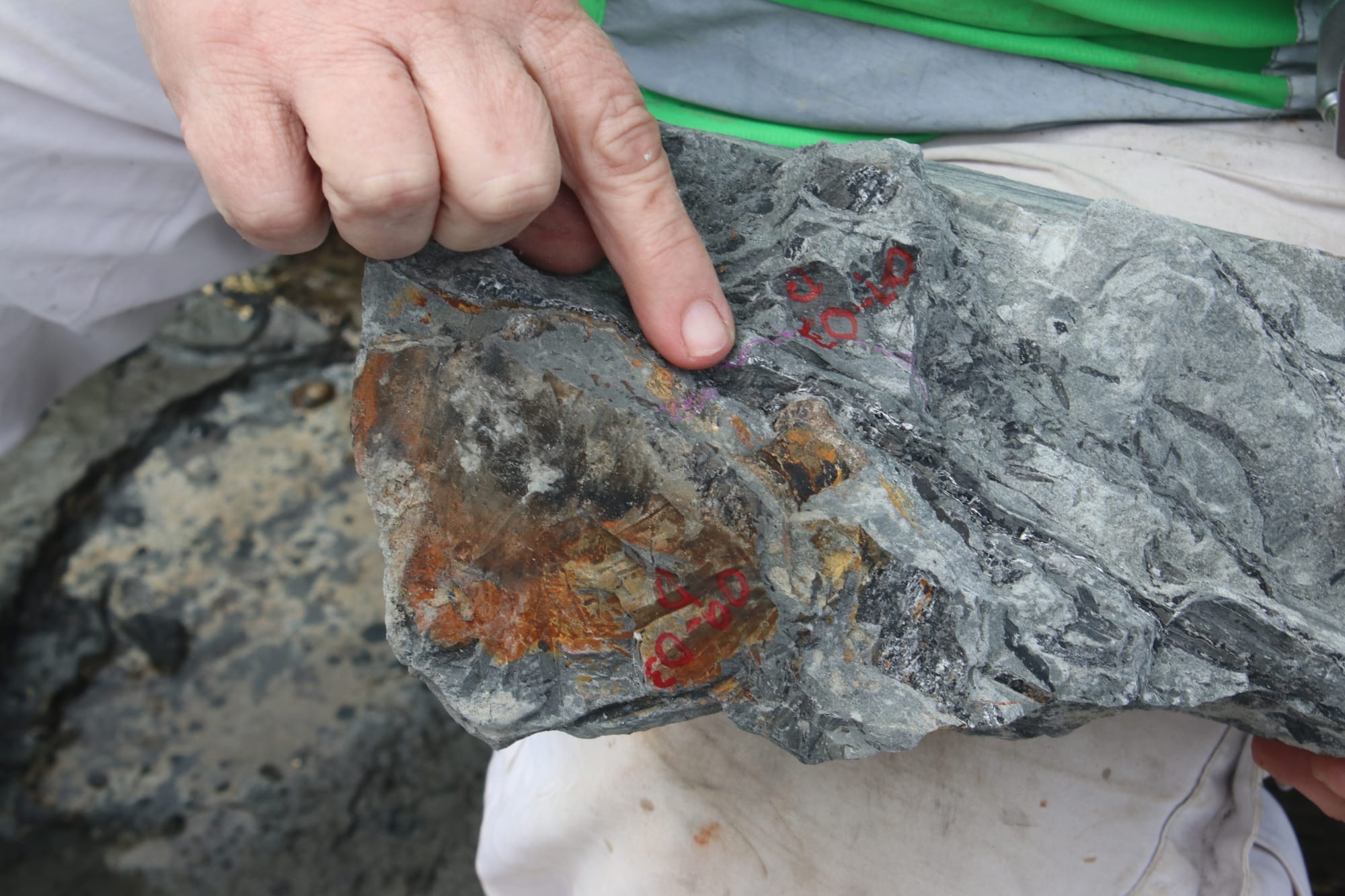 Searching for Inverloch’s elusive dinosaurs