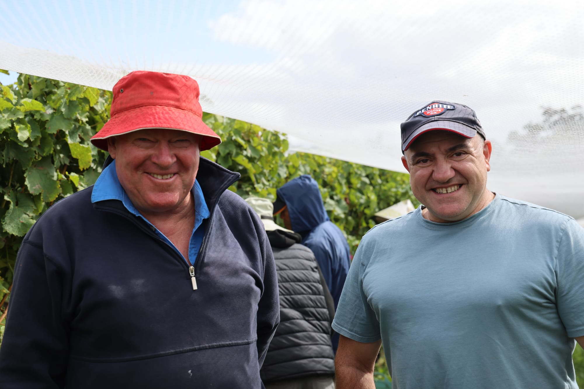 Late start to the Pinot harvest in South Gippsland