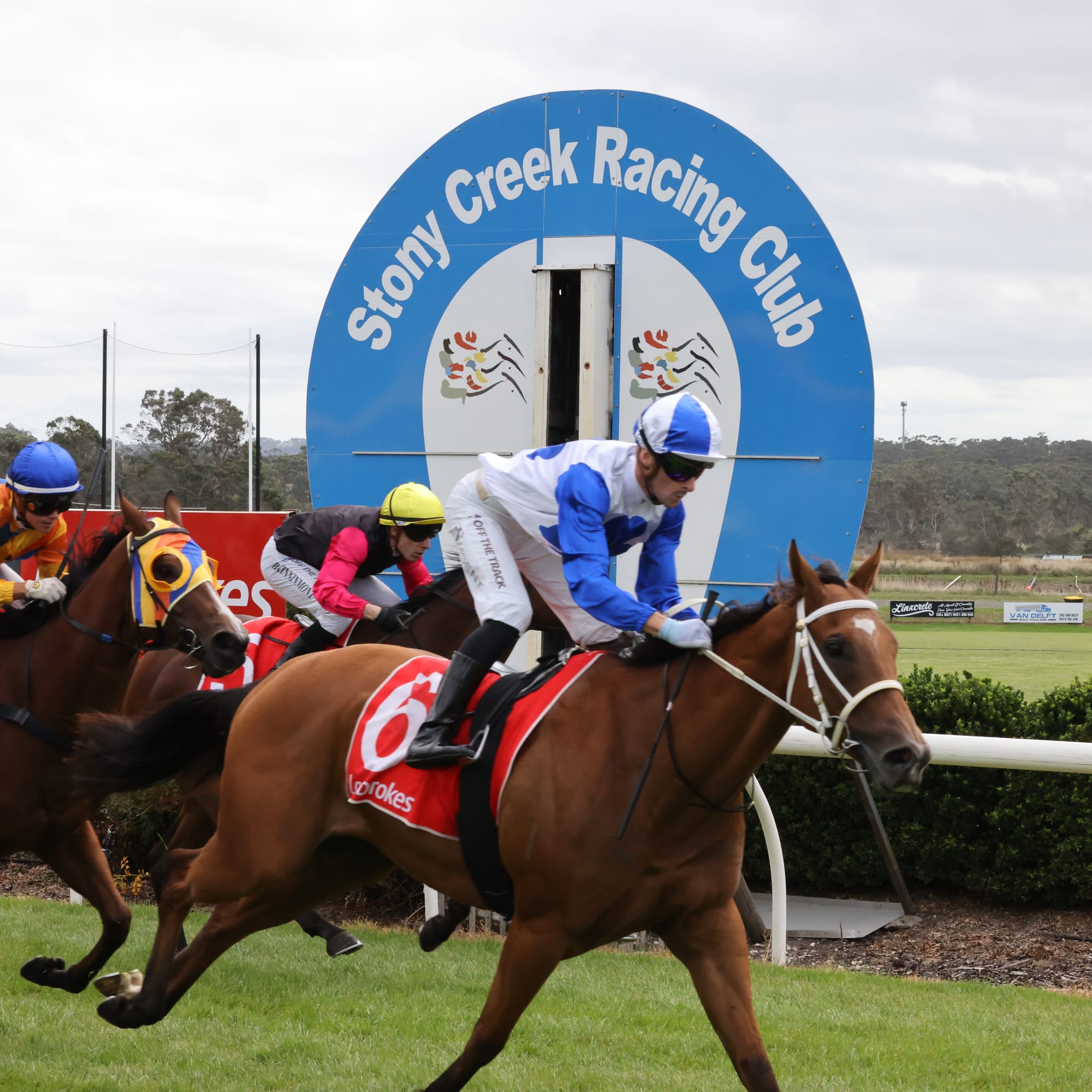 Country cups king Station One wins the Stony Creek Cup
