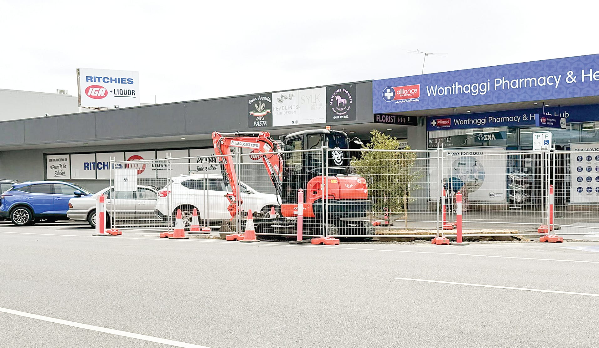 Speculation surrounds Graham Street tree works