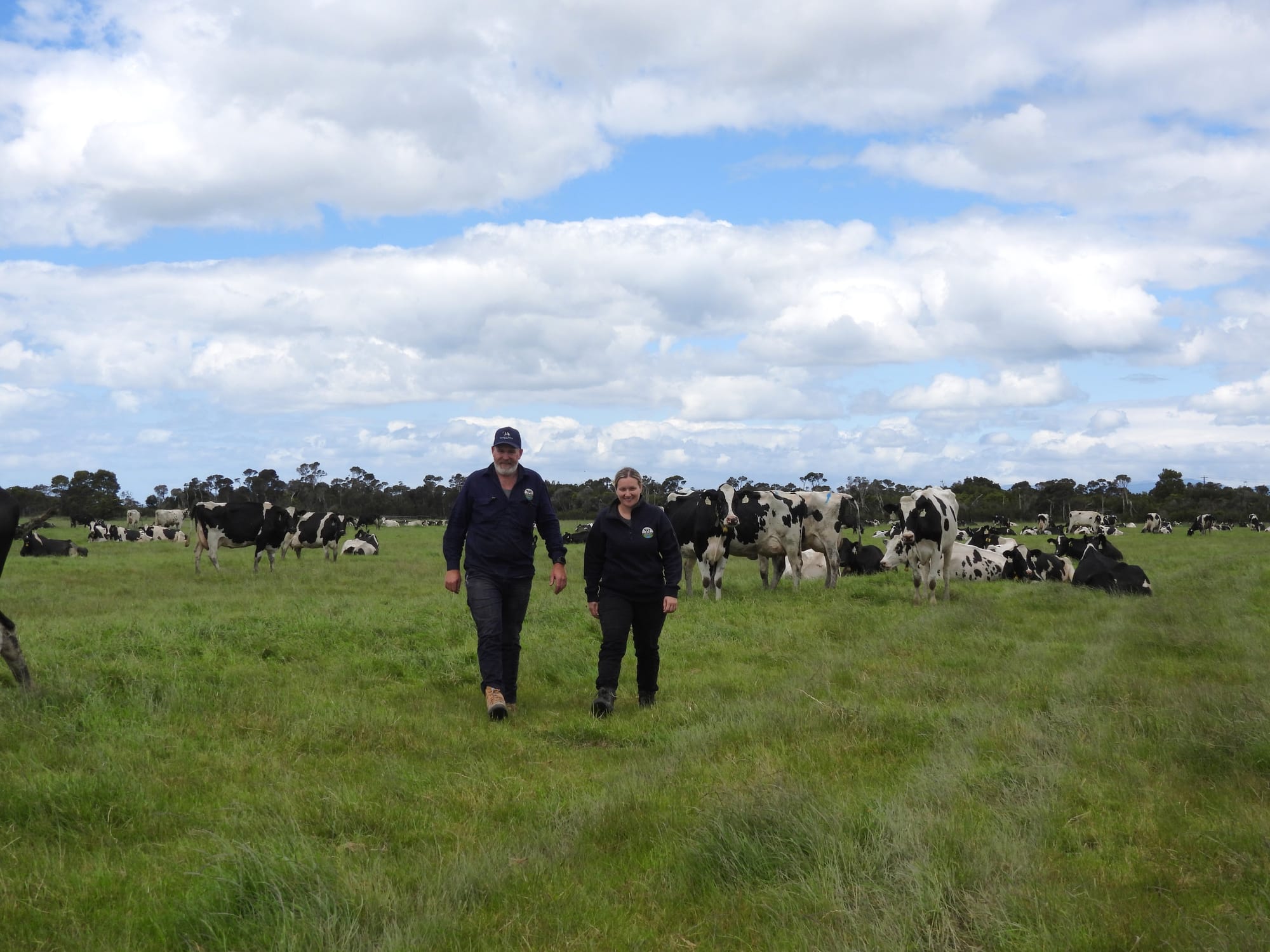 The 2026 GippsDairy Muster: From Grass to Growth in Toora