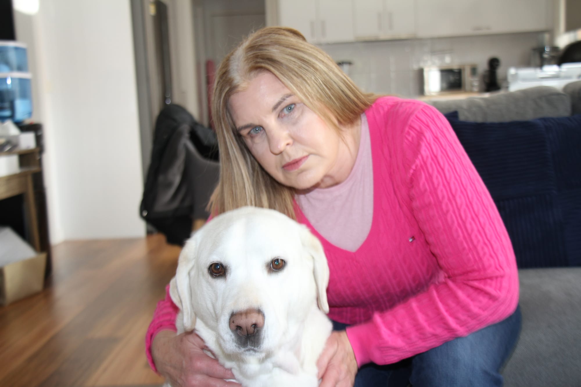 Petition demands tougher penalties for traumatic attacks on guide dogs