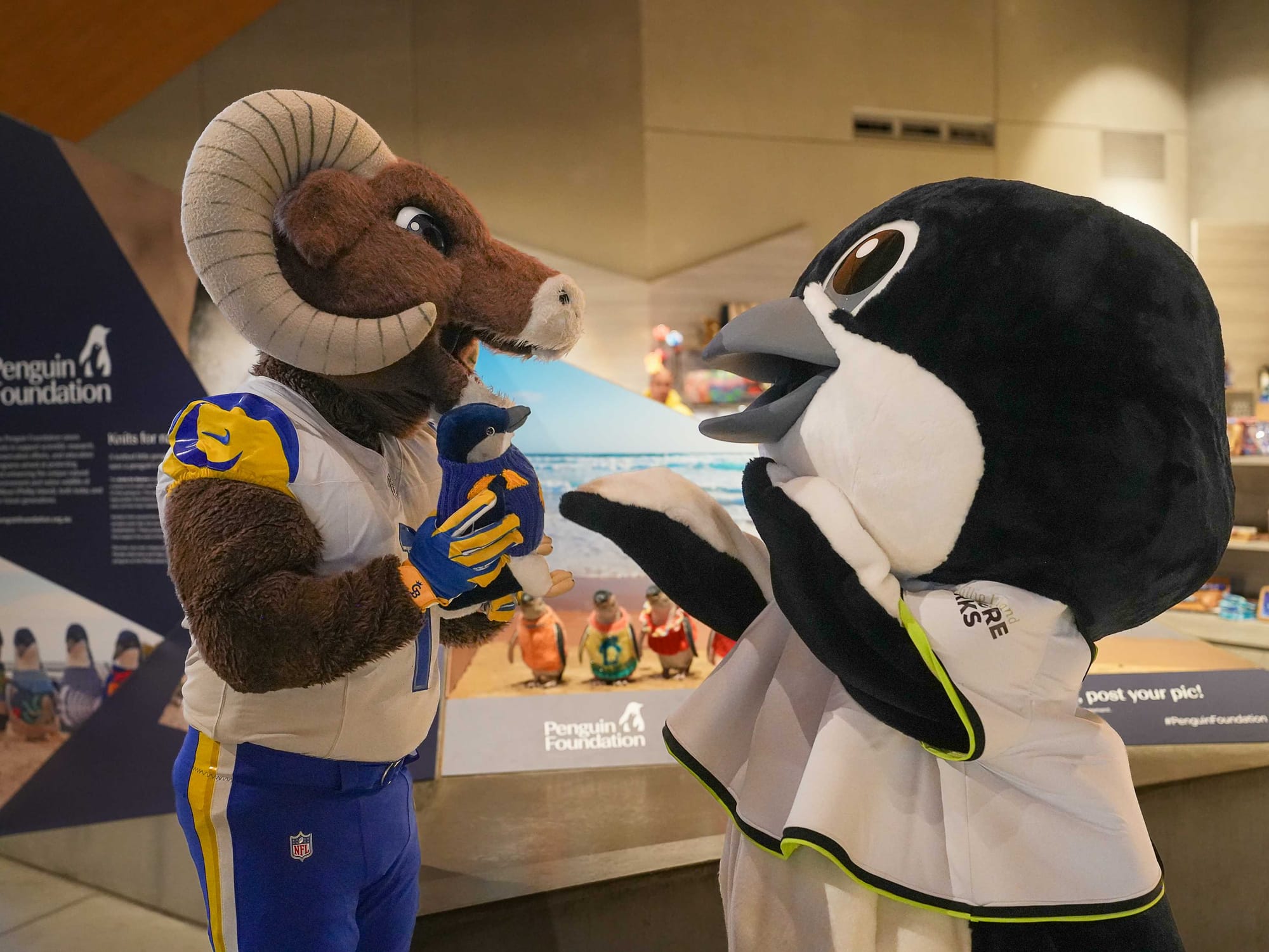 LA Rams’ mascot meets his match at Phillip Island