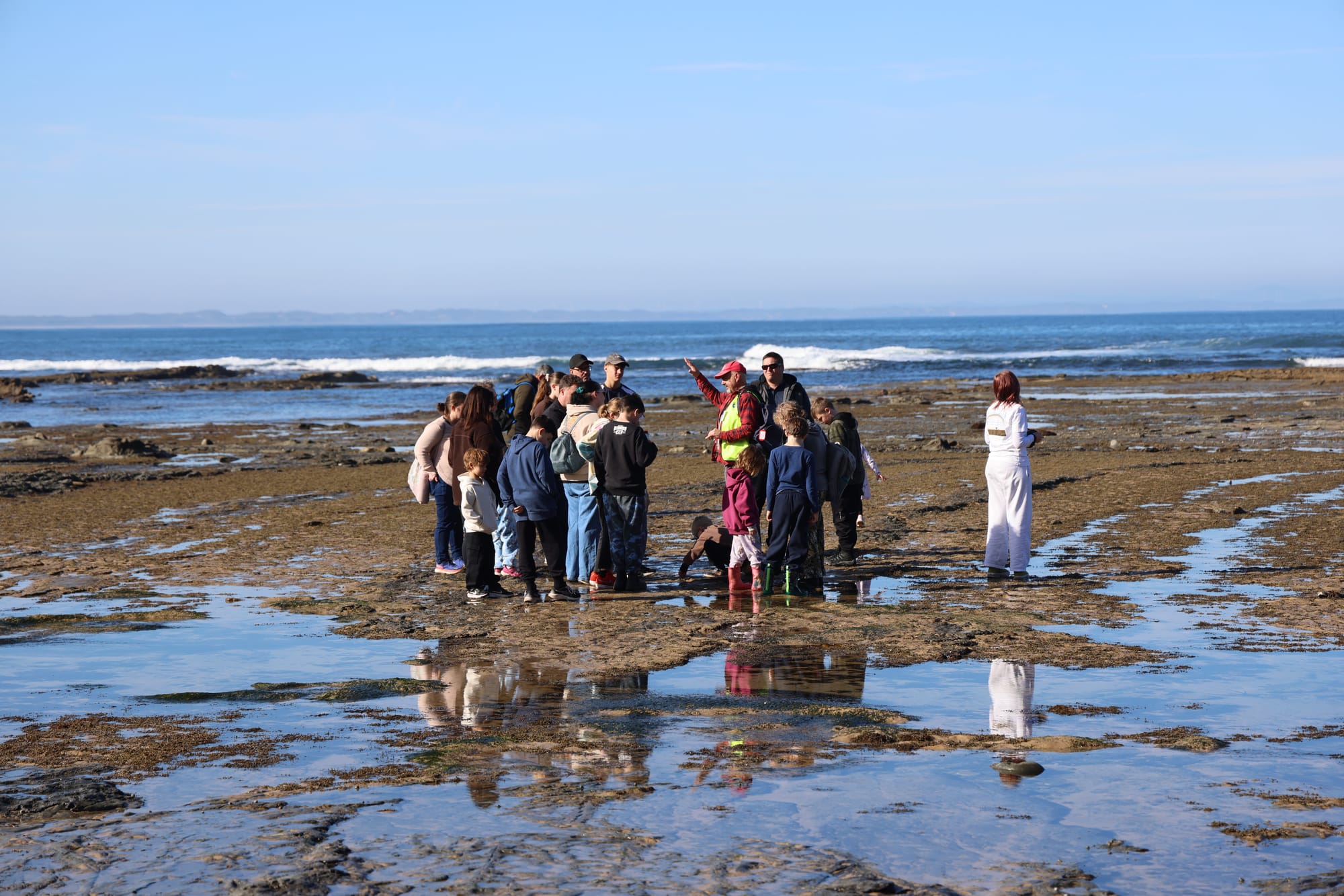 Ancient footprints and polar giants live again on the Bass Coast
