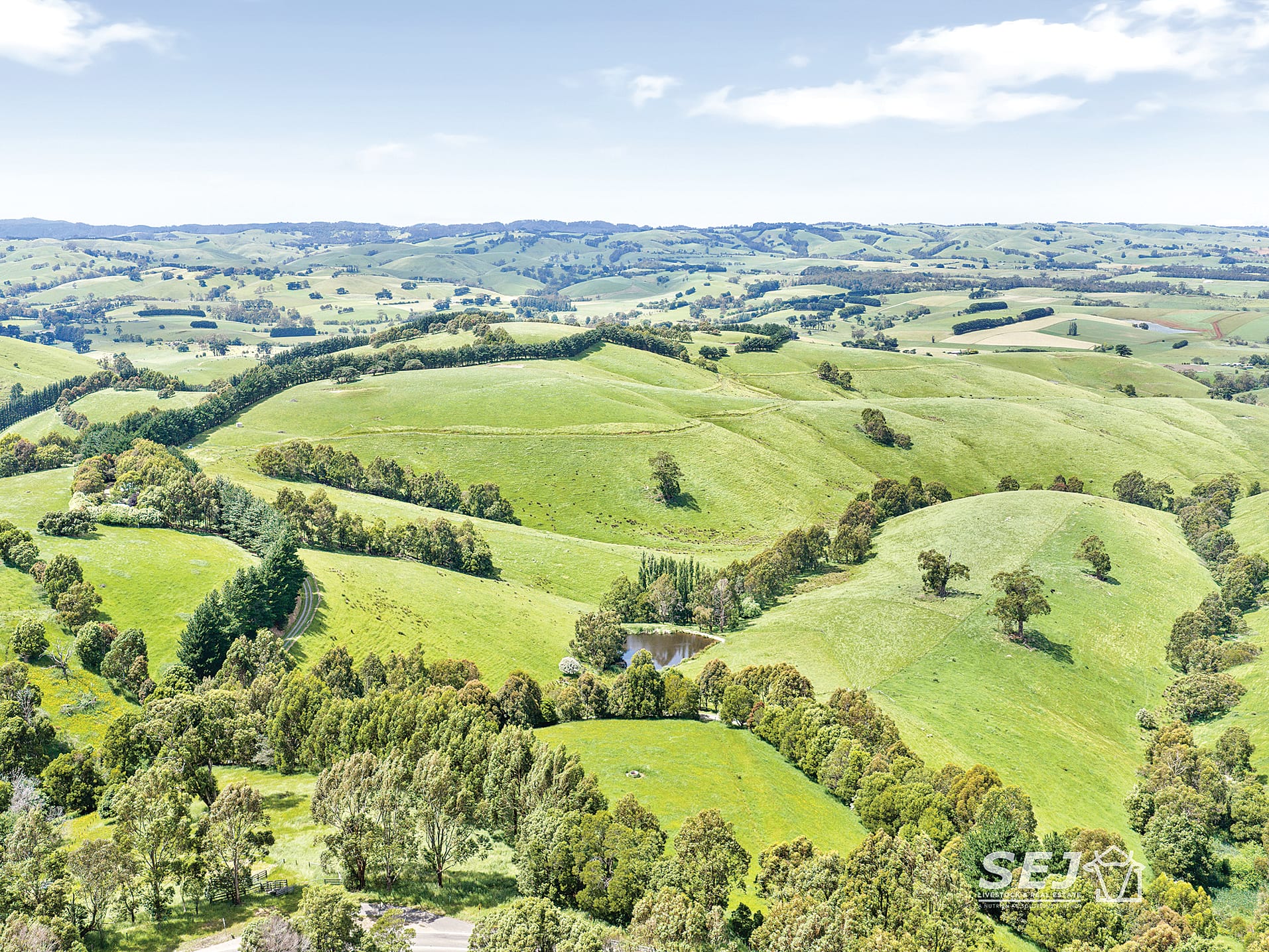 Affordable entry into blue gum grazing country at Dumbalk