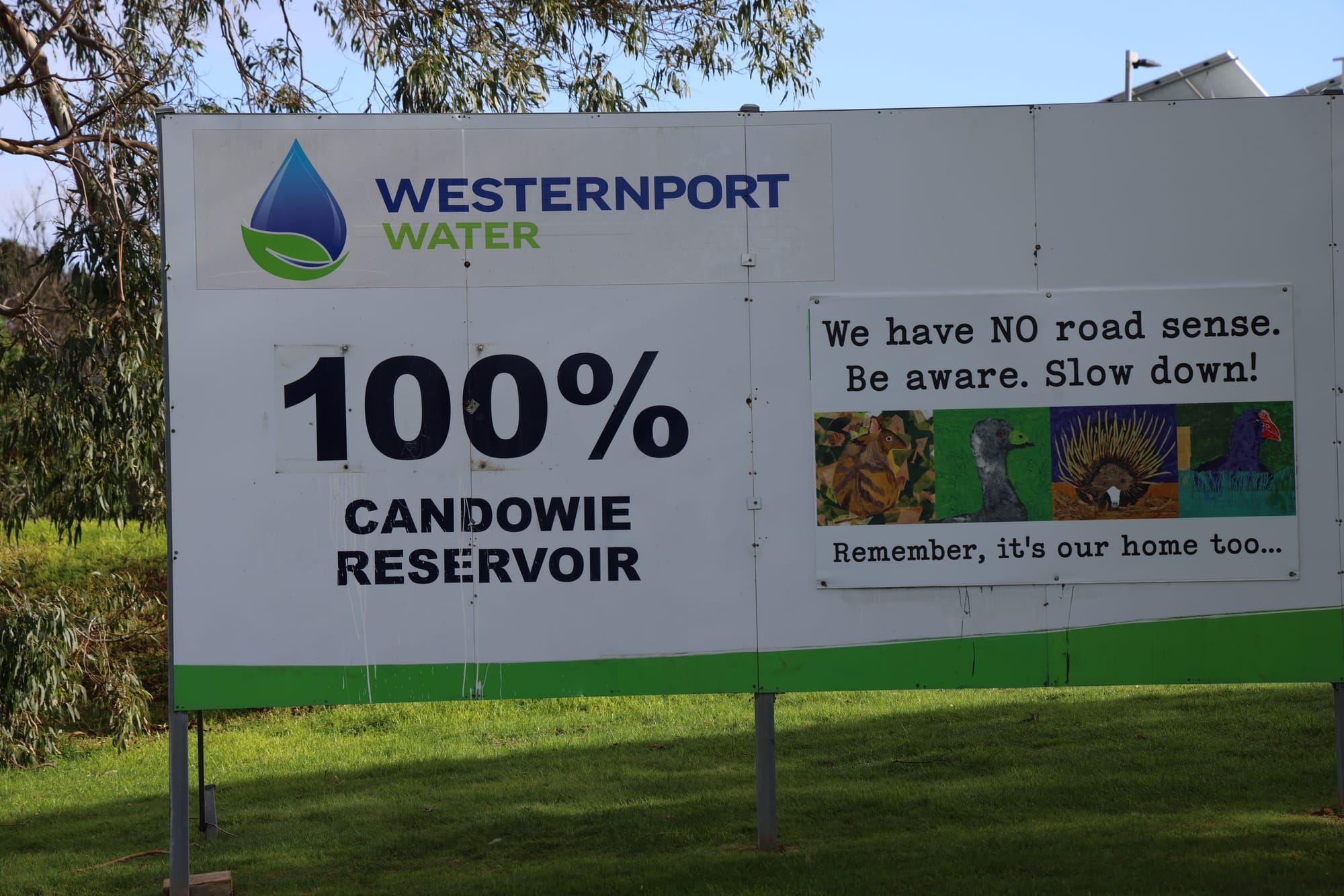 The wait is over... Candowie has reached 100% capacity