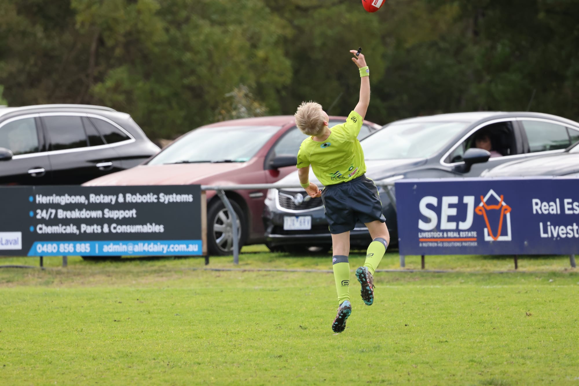 The SGUA says young umpires need regular matches to develop their skills and confidence.