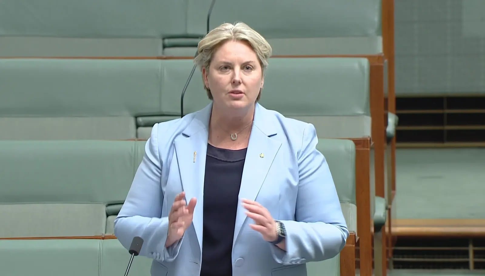Federal Member for Monash Mary Aldred speaking in the House of Representatives