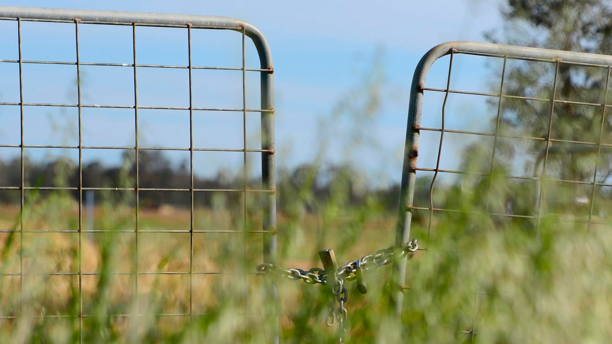 $5000 fine for cruelty to cows and calves at Korumburra
