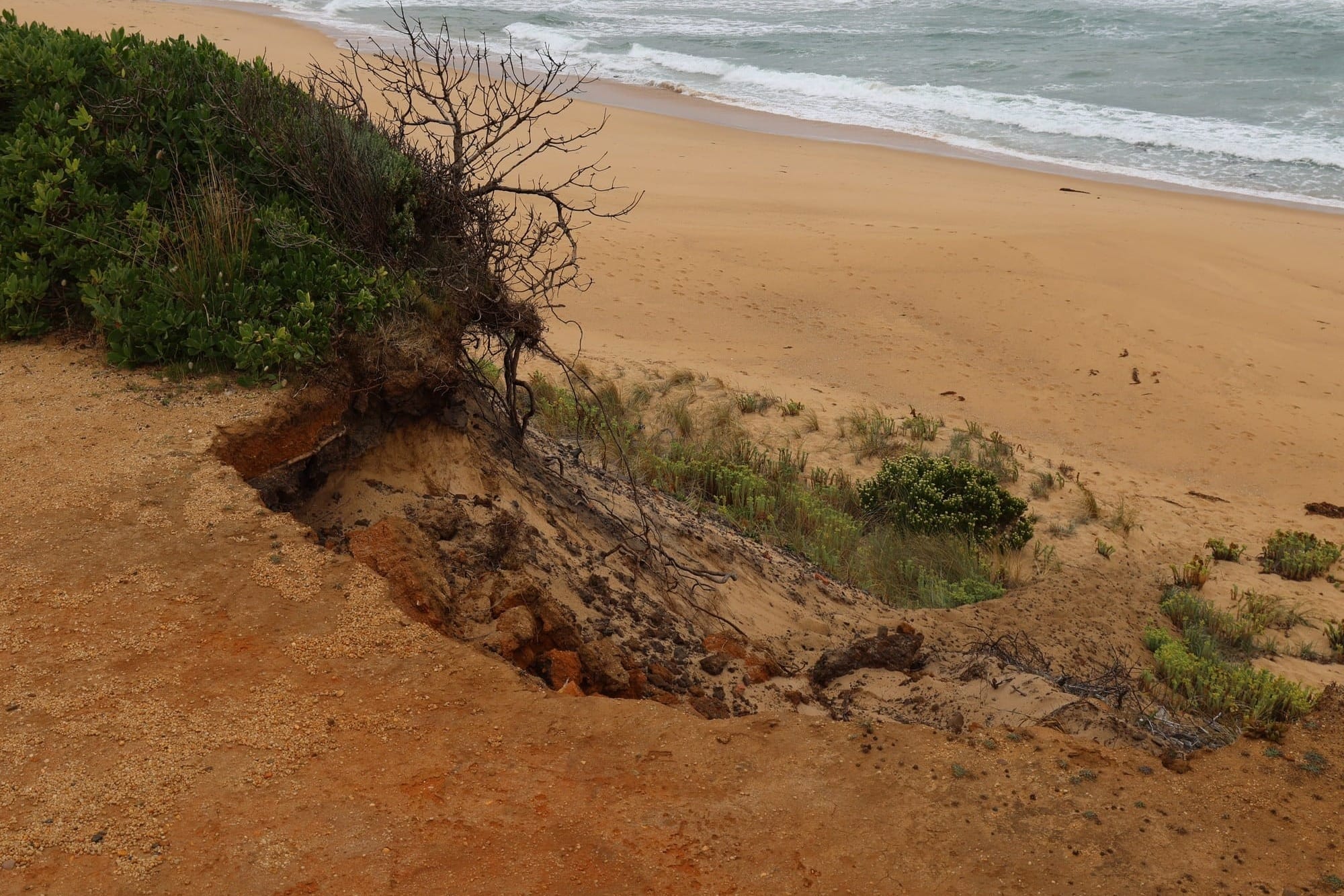 Rail trail to close as erosion eats into Kilcunda dune