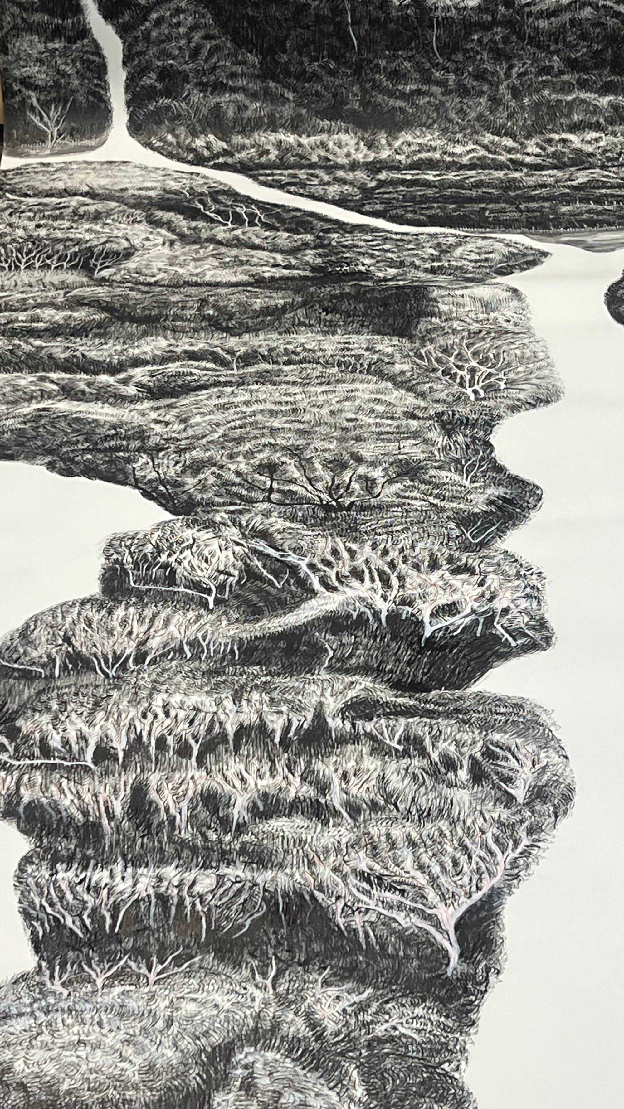 Eight-metre forest drawings open at Berninneit next month