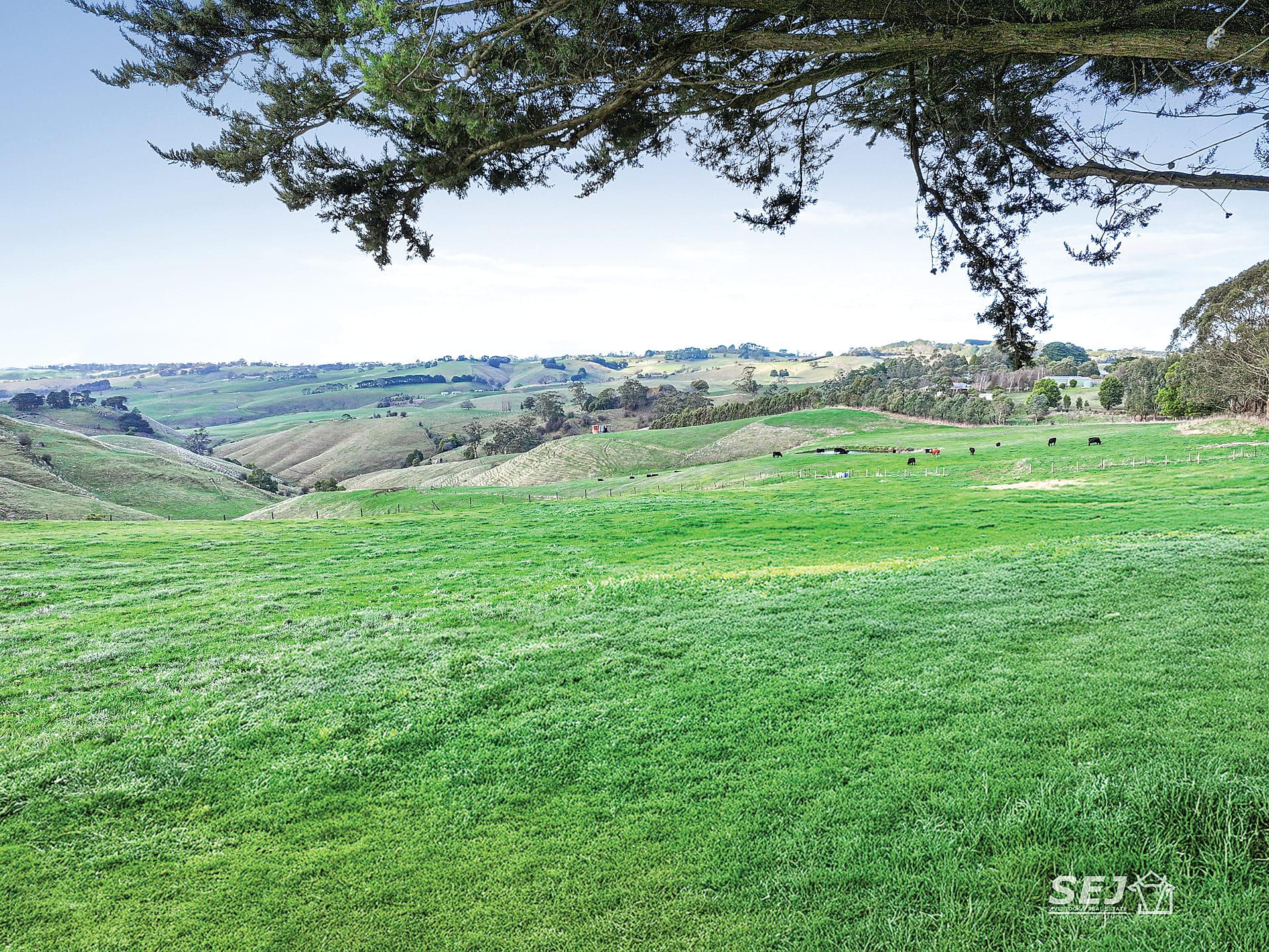 Grazing country close to town and closer to the sale yards