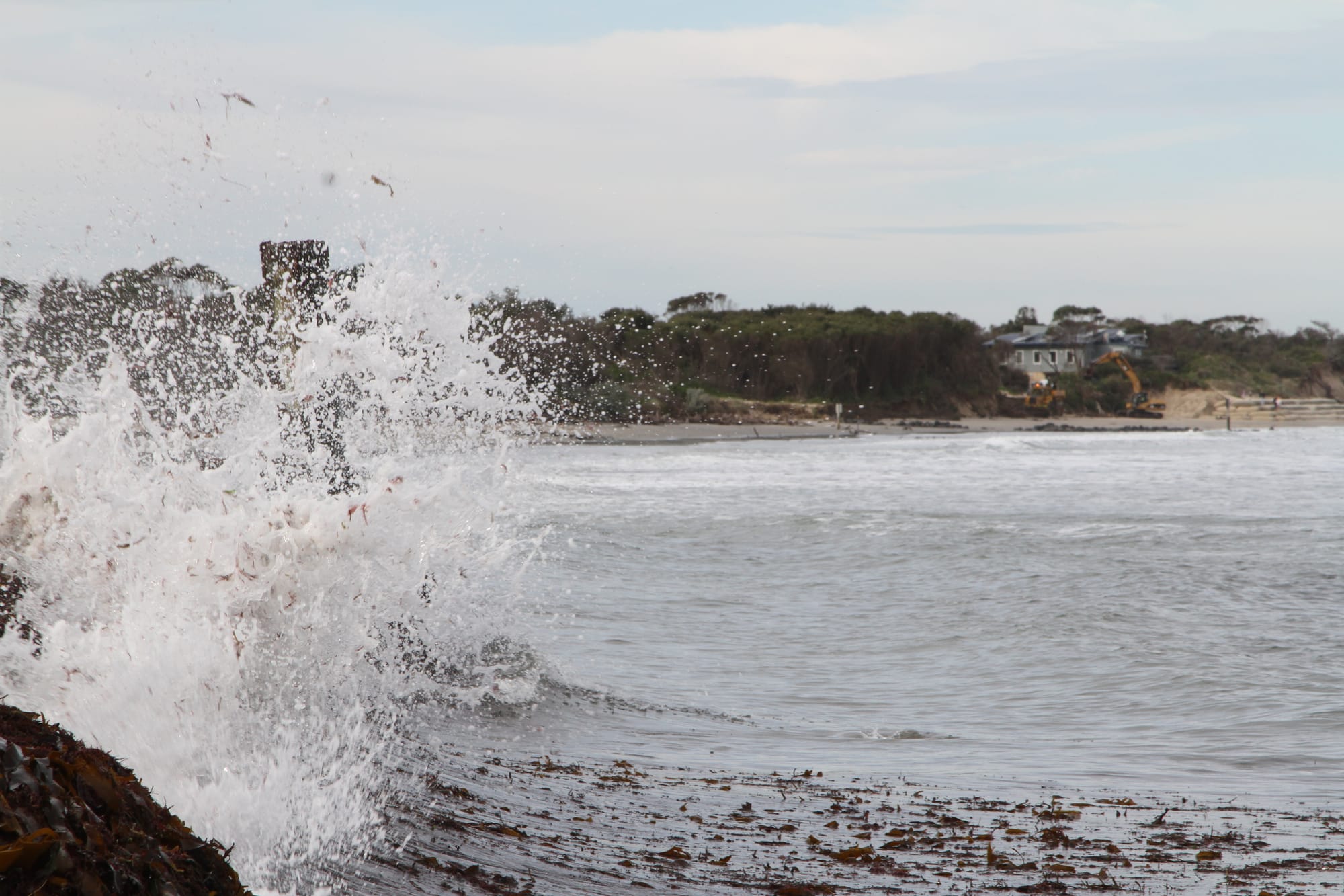 Greens put Bass Coast coastal communities on notice over rising sea levels