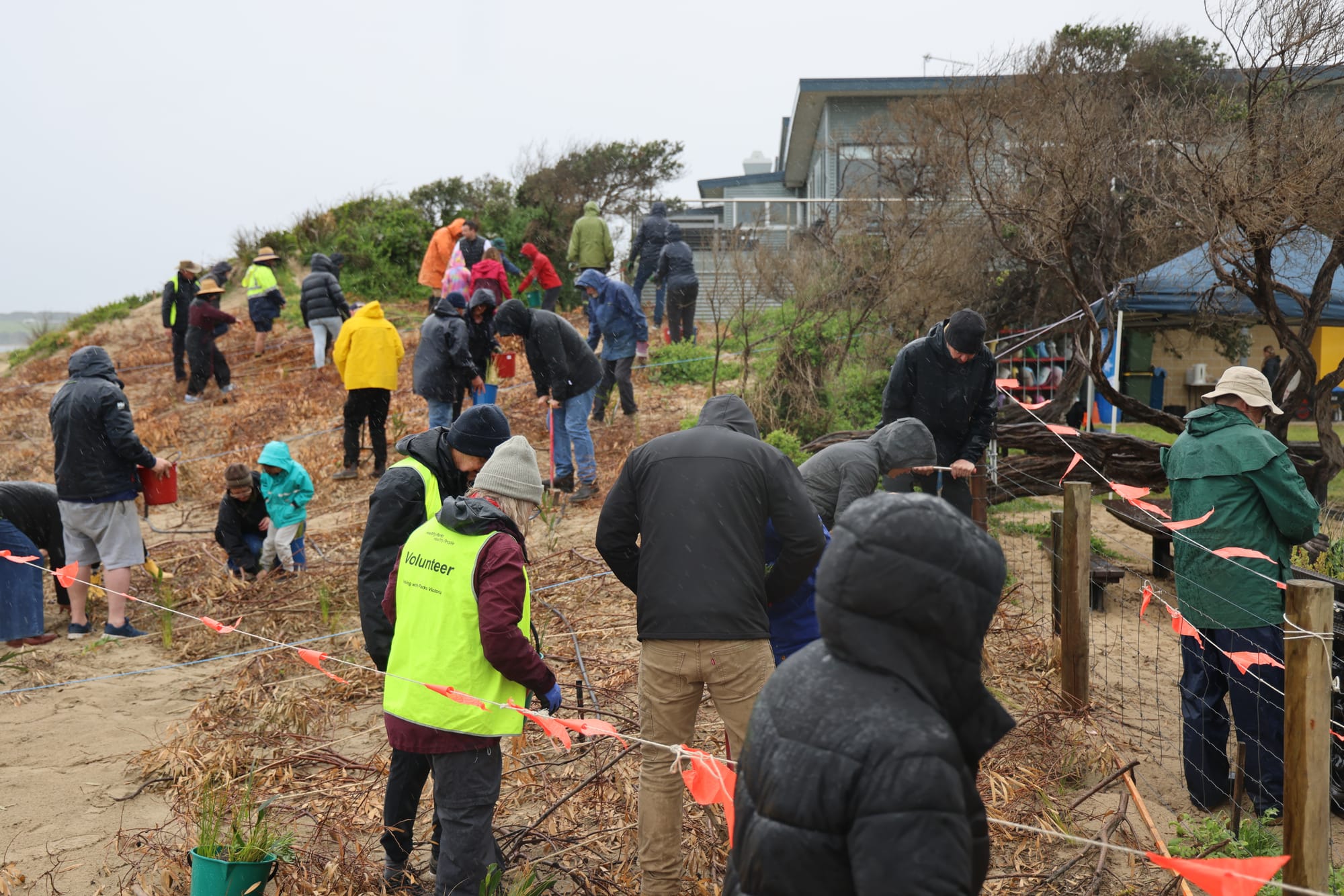 More than 80 volunteers braved wet weather to plant about 2000 indigenous shrubs and grasses.