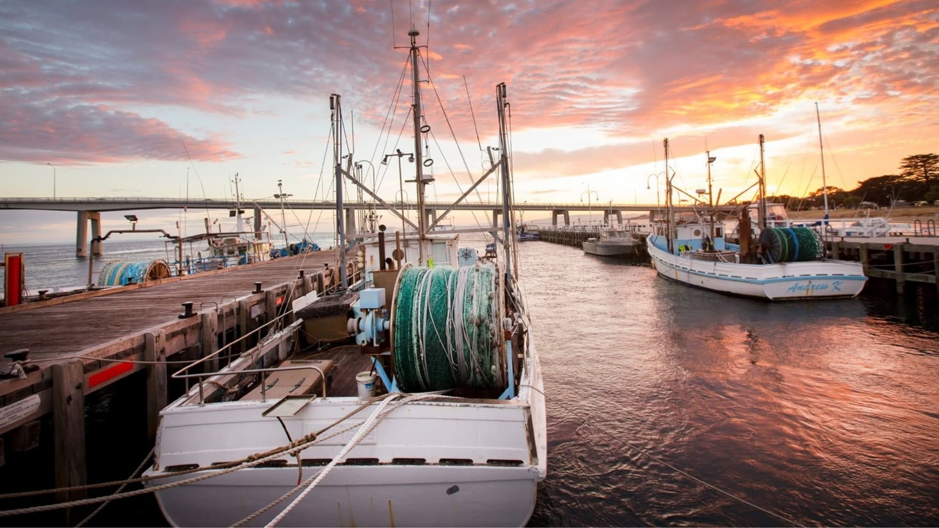 TIDAL Seafood Festival returns to San Remo this September