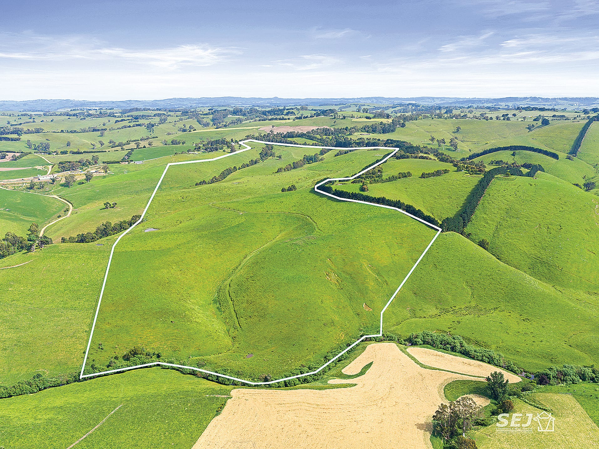 Blue gum hill country ready for its next custodian