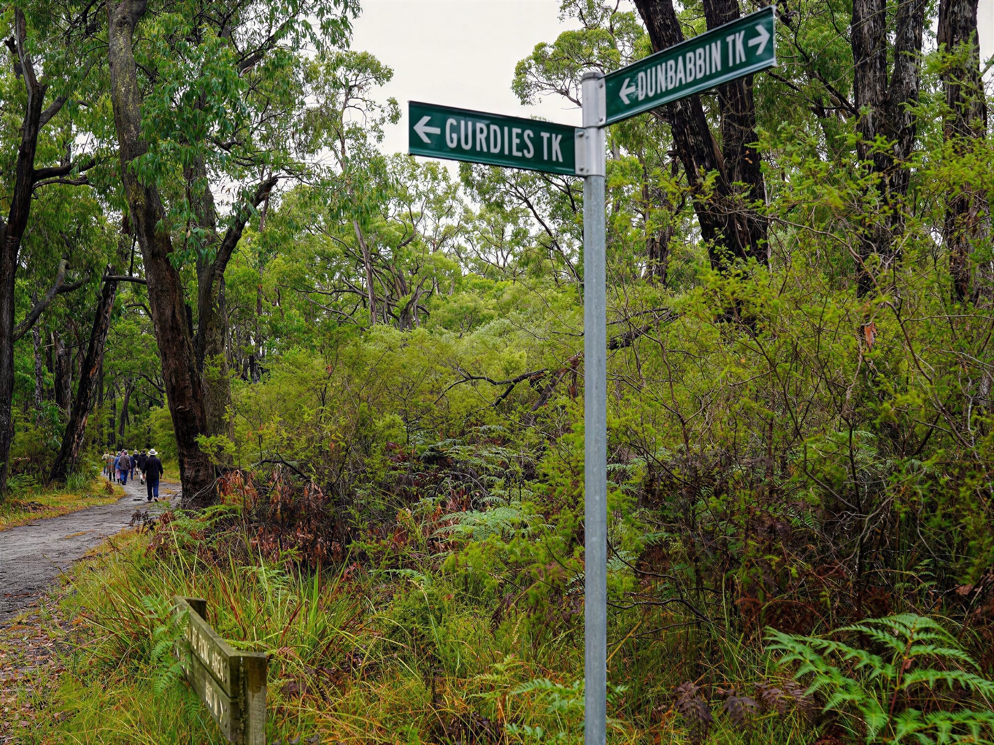 Bass Coast tells state Western Port Woodlands cannot wait