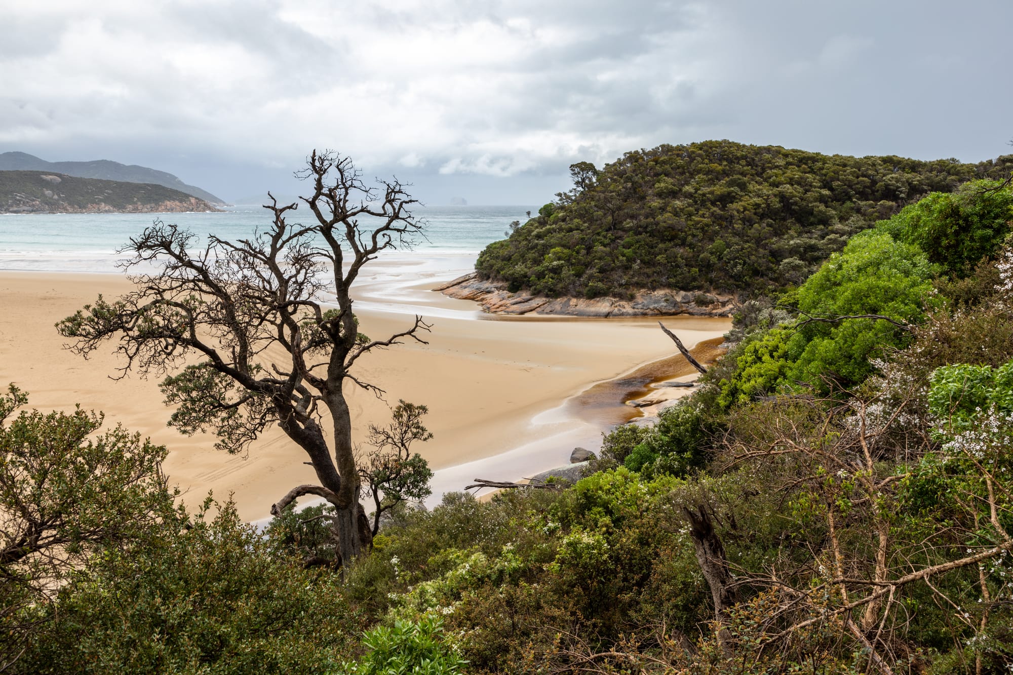 Parts of Wilsons Promontory National Park are set to be closed during an aerial deer control operation in October.