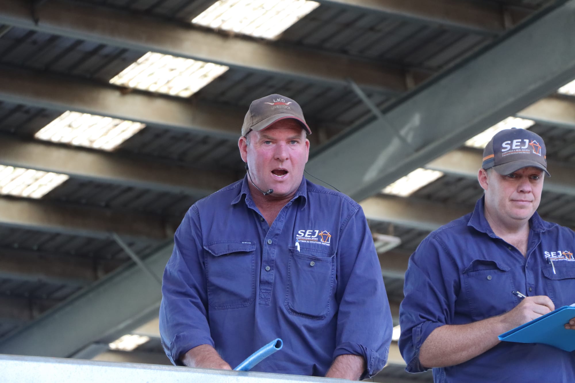 Strong and fair prices at Leongatha Store Sale