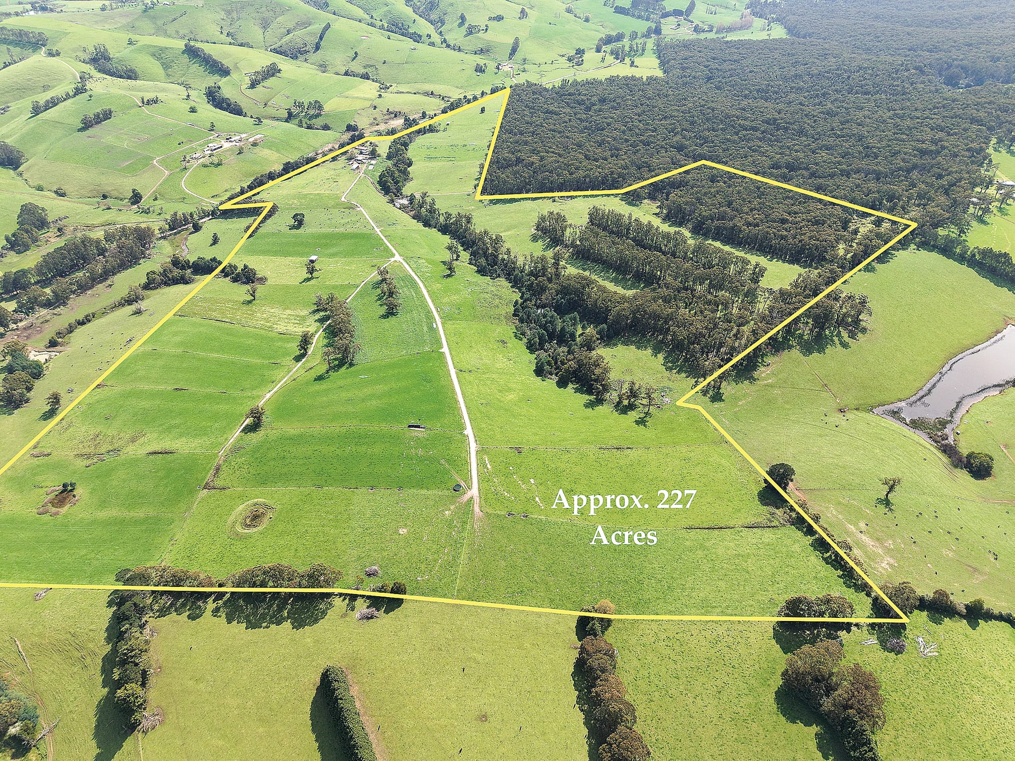 Established dairy farm with bushland backdrop