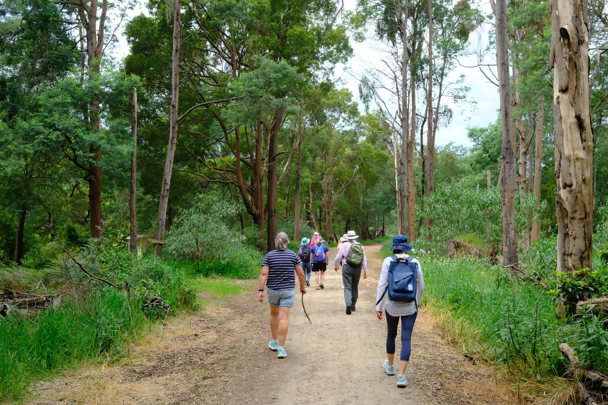 Carer Camino participants make their way along the Great Southern Rail Trail during their four-day wellbeing retreat.