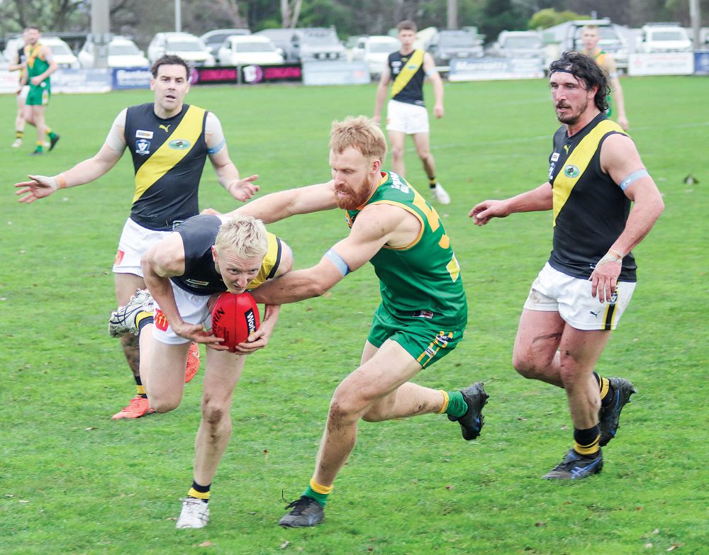 Parrots down Tigers with blistering final term in dreary conditions post image