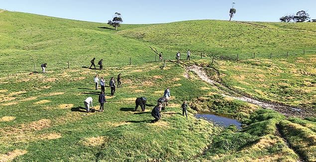 Environmental unity post image