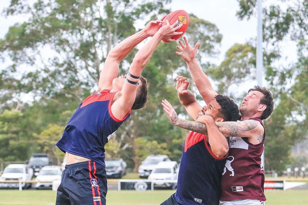 Demons edge Lions in thriller to open season on a high post image