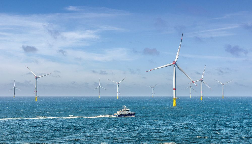 Offshore wind turbines made habitat friendly post image