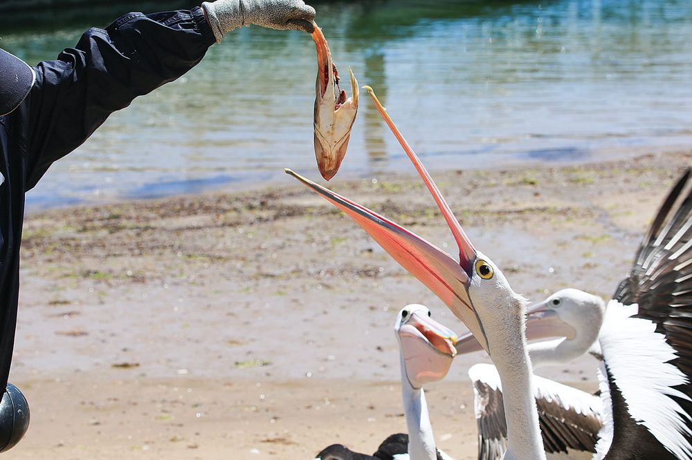 What's happening the week ahead... post image