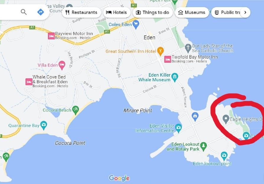 Why NSW can't steal our penguin parade, yet! post image