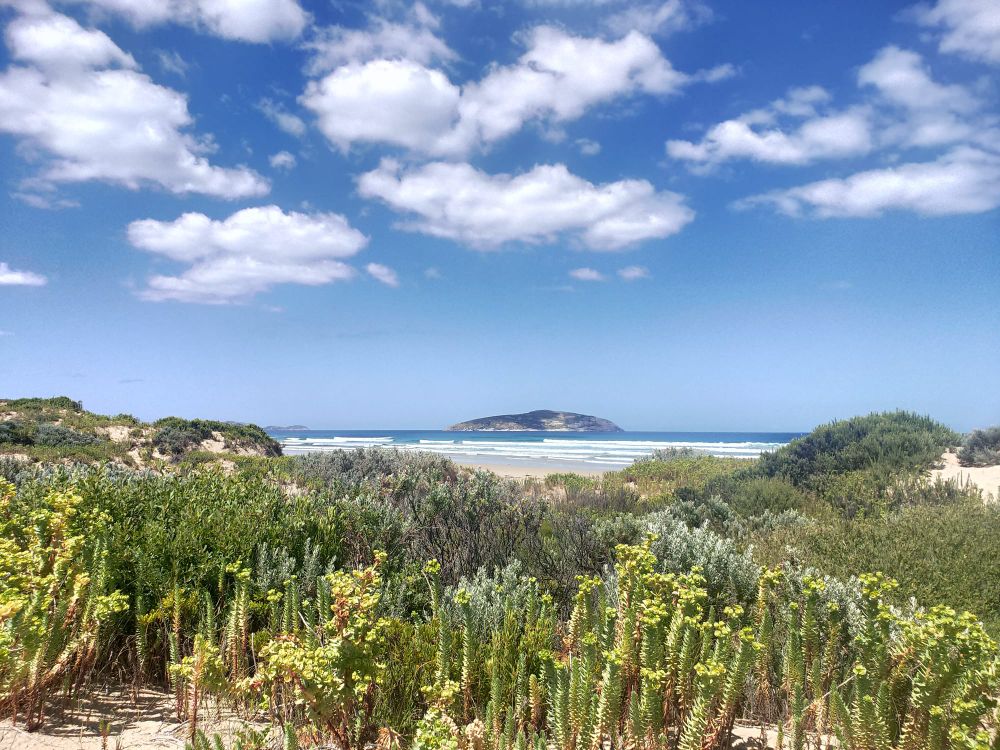 Prom camping chaos continues with data breach, say Nationals post image