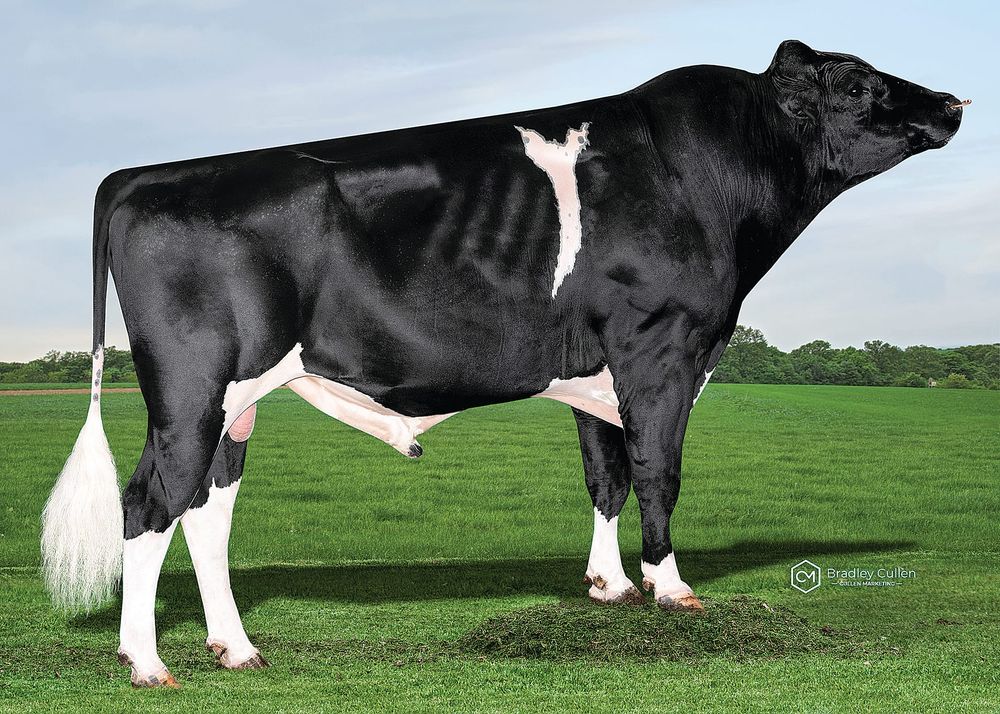 Highlighting strength and sustainability post image