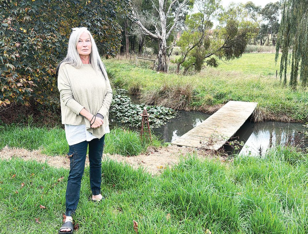 Council shuts down cattery and kennels to the dismay of clients post image