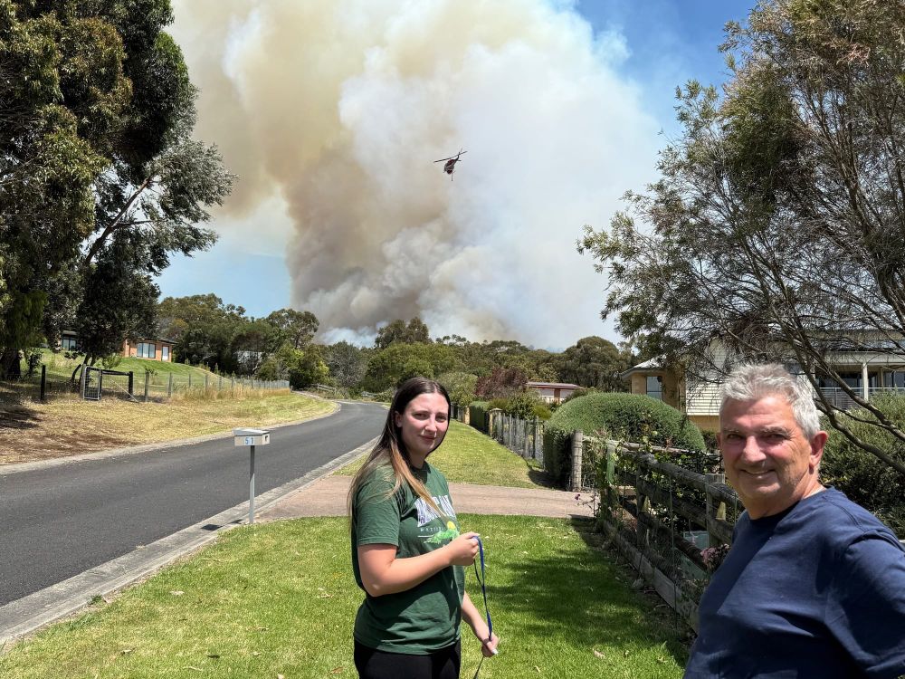 TAKE SHELTER NOW, issued for The Gurdies post image