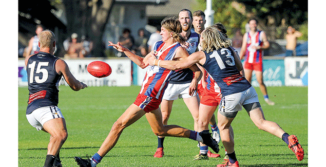 Bulldogs and a dog defeat Panthers post image