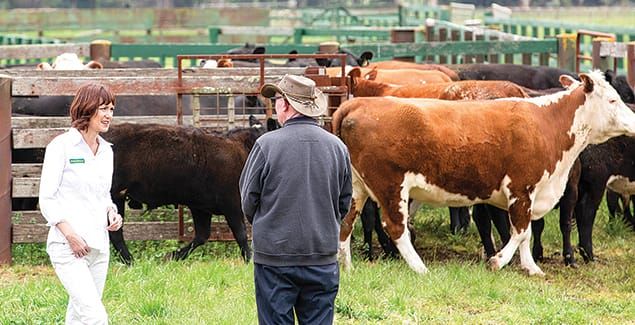Take farm safety serious, urges MP post image
