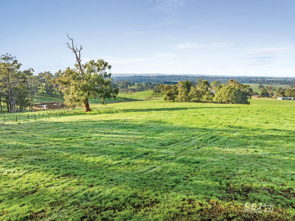 A sheltered 60 acres of grazing! post image