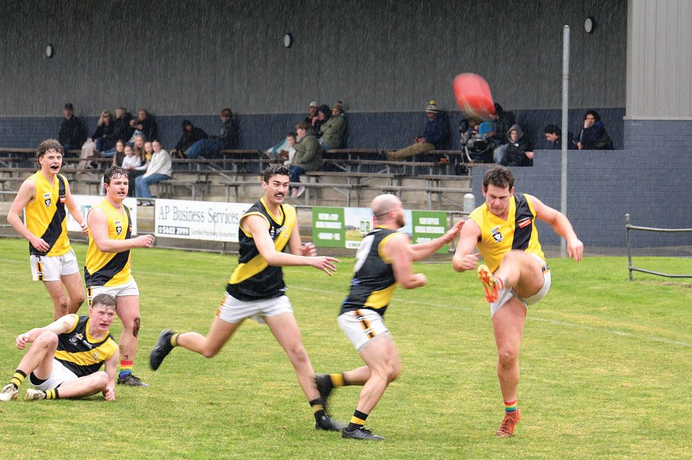 Wet weather clash of the tigers post image